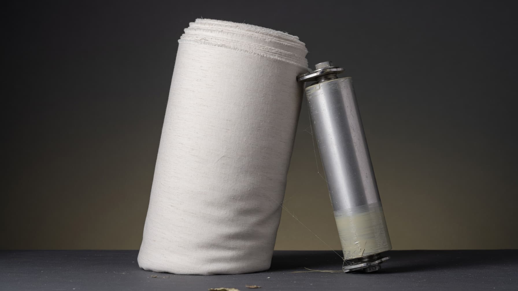 Plant-Derived Textile Coatings Target Sustainability-Conscious Apparel Brands